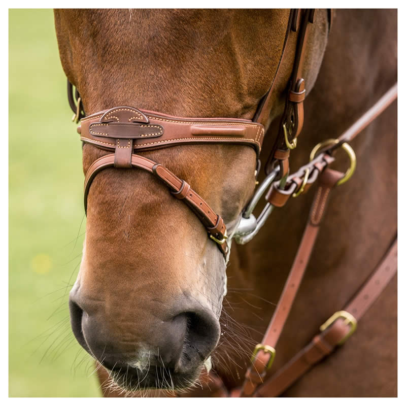 乗馬 頭絡② クレインで購入 - その他